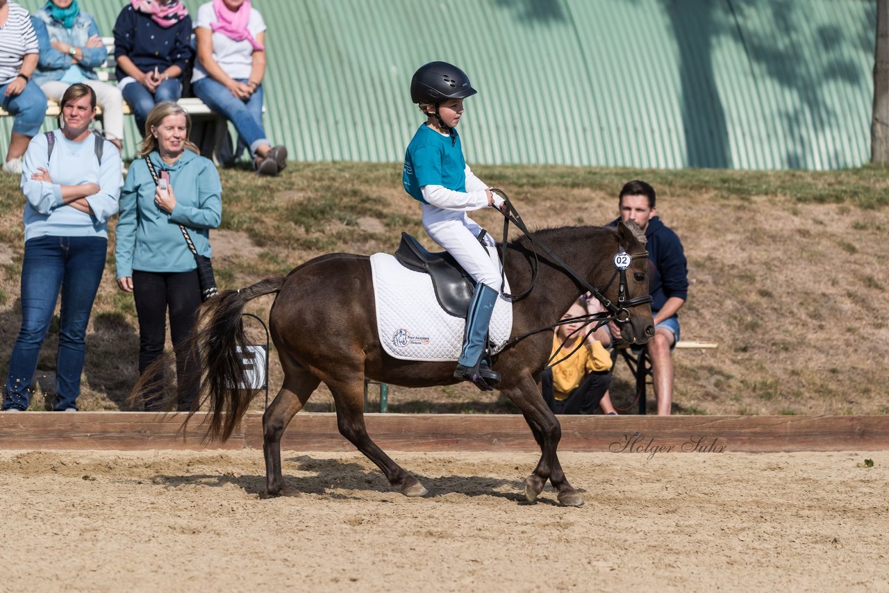 Bild 96 - Pony Akademie Turnier